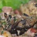 Poêlée de champignons et gésiers sur lit de[...]