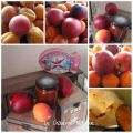 Confiture nectarine,  abricot et vanille.