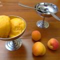Sorbet à l'abricot