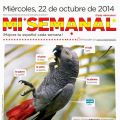 'Mi Semanal': le meilleur cours d'espagnol pour[...]