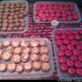 Neness au pays des macarons