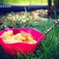 Recette sorbet melon-cardamome