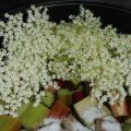 Compote de rhubarbe et fleurs de sureau