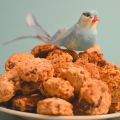 Biscuits Choco-Graines (mais avec du gluten,[...]