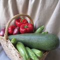 Gratin à LA courgette et aux tomates