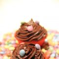 Cupcakes au chocolat et smarties