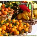 Les agrumes de Menton (Fête du Citron 2012)