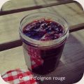 Confit d'oignon rouge