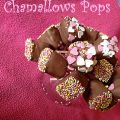 Chamallow pops.Marshmallow pops.