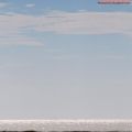 D'une côte à l'autre