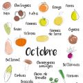 Calendrier des fruits et légumes de saison -[...]