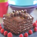 Cube au chocolat et noisettes croquantes pour[...]