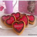 PETITS SABLES VANILLE CHOCOLAT COOKIES LOVE !
