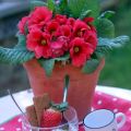 Une petite pause gourmande ... fraise et[...]