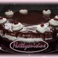 Gateau au chocolat et cranberry façon Forêt[...]