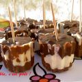 Sucettes aux troix chocolats