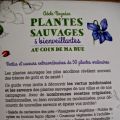 Plantes sauvages et bienveillantes au coin de[...]