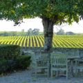 Visiteurs du Médoc