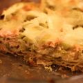 Lasagnes saumon, poireaux et mozzarella