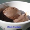 Crème glacée chocolat-nutella au lait de soja,[...]