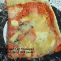 Pizza saumon et fromages