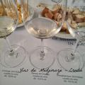 Vins du Međimurje, Croatie...un terroir à[...]