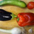 Légumes du soleil multi-usages