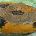 Gâteau salé au potimarron, patate douce et à la[...]