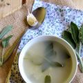 Potage à la sauge {Aïga boulida}