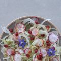 Carpaccio de fenouil, radis et grenade