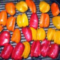 Recette de salade de poivrons grillés à la[...]