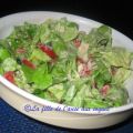 SALADE DE LAITUE BOSTON, TOMATES ET POIVRONS[...]