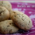 Biscuits gonflés : flocons d'avoine, graines de[...]