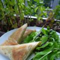 Bricks oseille-sardine-citrons et poivrons :)