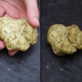 TRUFFE BLANCHE D'ALBA