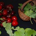 Confiture de Cerises parfumée au Géranium[...]