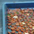 COMMENT FAIRE DES TOMATES CONFITES???