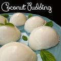 Coconut pudding (Chine)