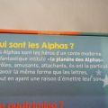 A quoi jouent-ils? Au Quatrimino!