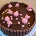 Gâteau bain de boue des cochons mignons...