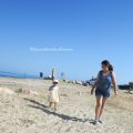 [En Corse] Le bonheur à quelques grains de[...]