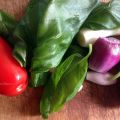 Sauce Tomate au Basilic