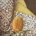 Madeleines