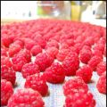 Résumé du dernier 24h très framboise!