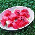 Summer Menu in a Green Garden