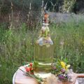 Apéritif aux pissenlits