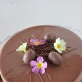 Entremet chocolat au lait et citron vert