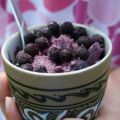 Glace bleuets coco