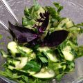 Salade croquante de concombre
