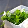La conservation des herbes fraîches